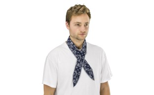 7304-02 - Thermasure Cooling Neck Band Paisley_CN73040X.jpg